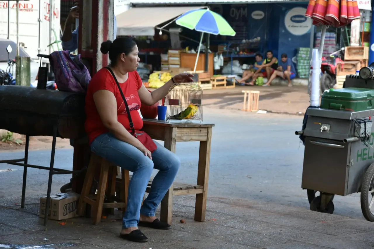 La communauté française au Paraguay